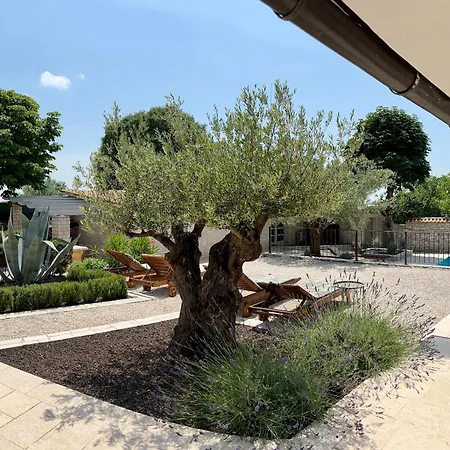Tatil Evi Heritage Cranzetti