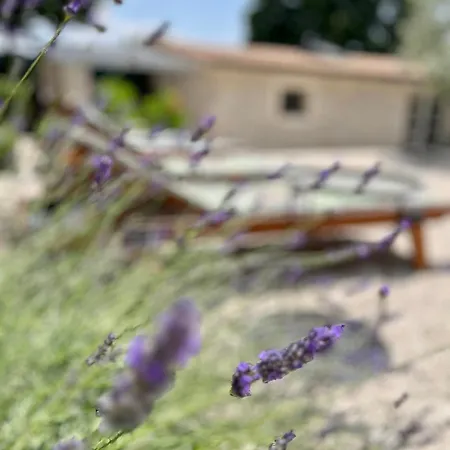Cranzetti Holiday home