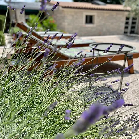 Cranzetti Svetvincenat